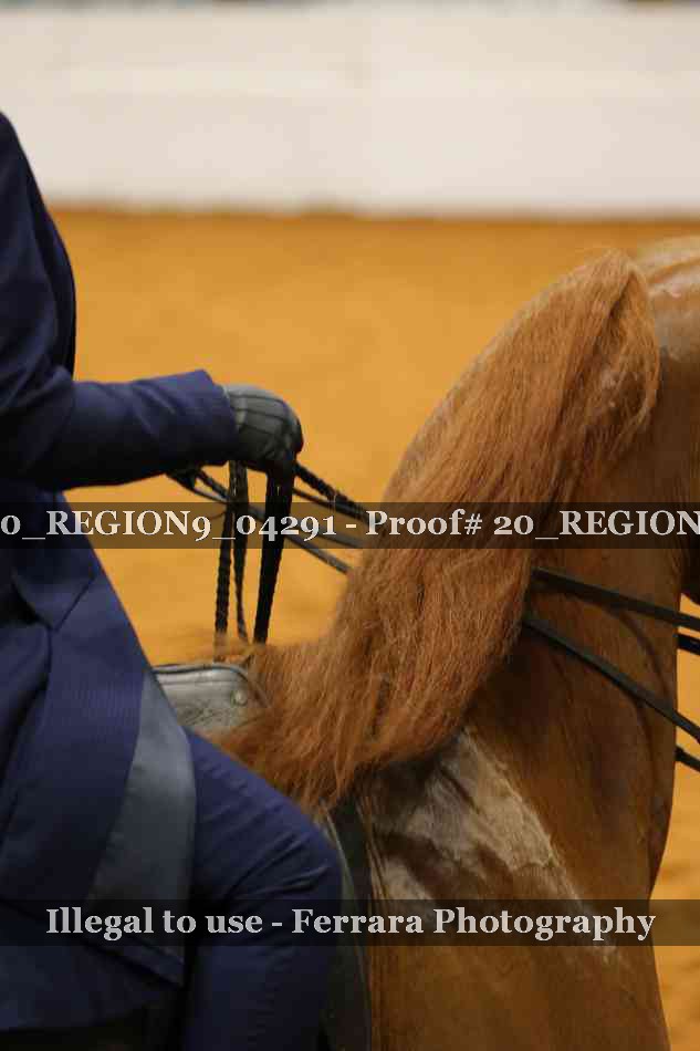 Proof 20_REGION9_04291