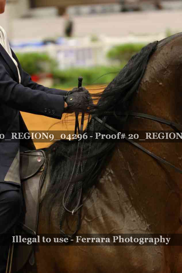 Proof 20_REGION9_04296