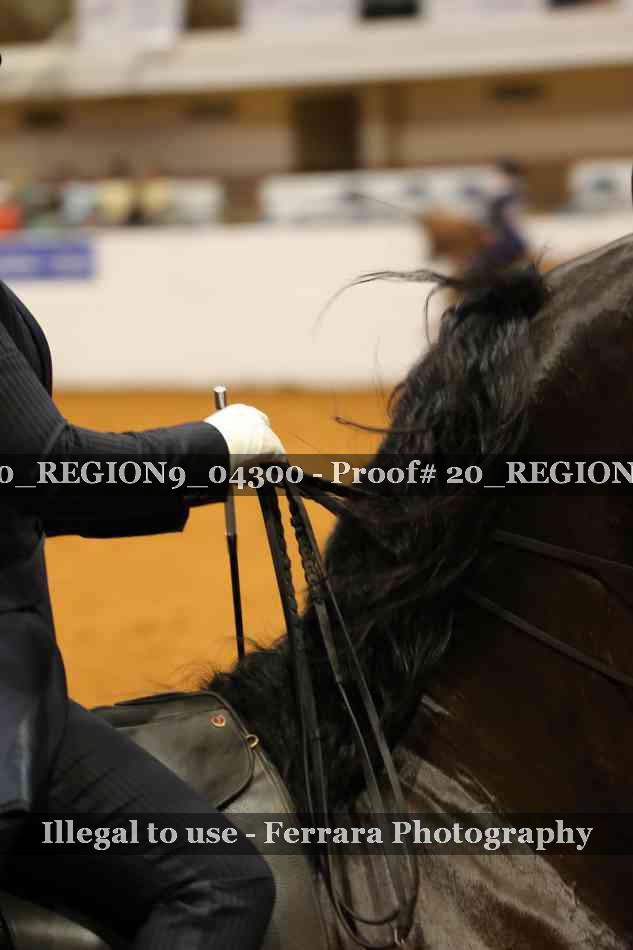 Proof 20_REGION9_04300