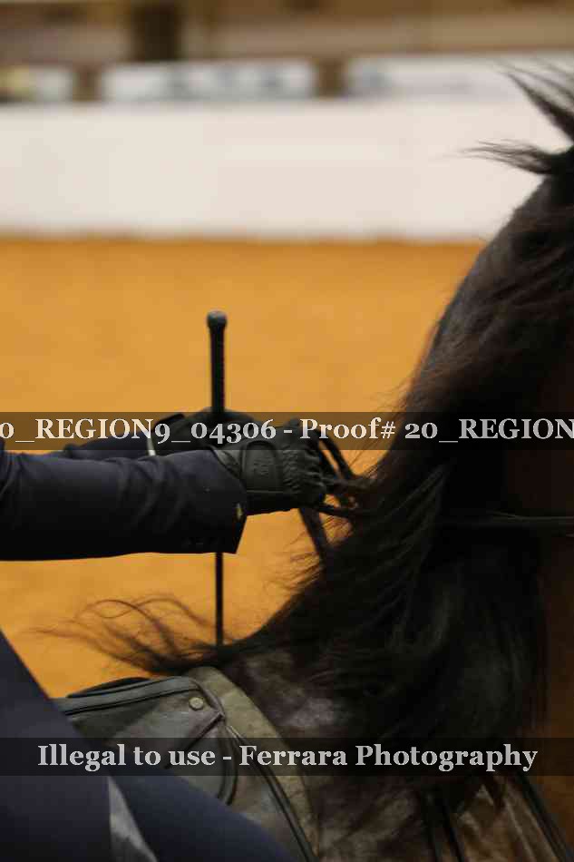 Proof 20_REGION9_04306