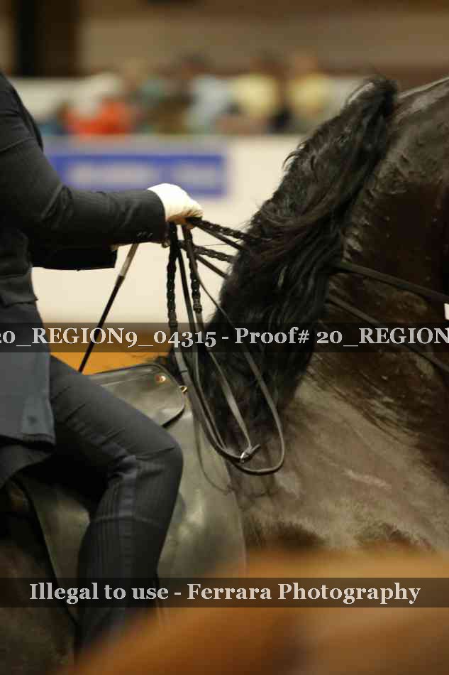 Proof 20_REGION9_04315