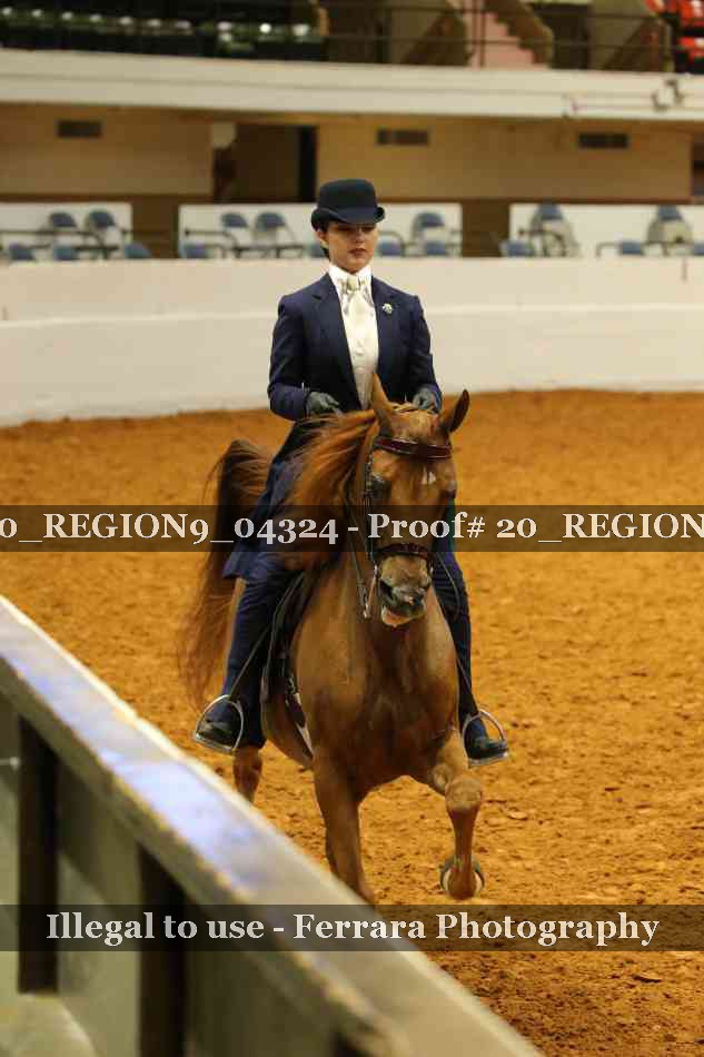 Proof 20_REGION9_04324