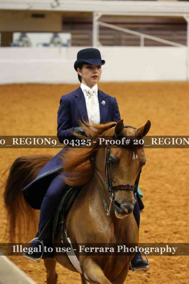 Proof 20_REGION9_04325