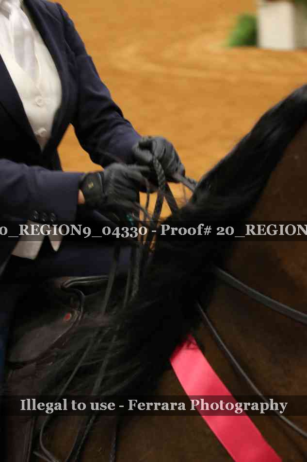 Proof 20_REGION9_04330
