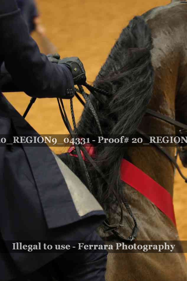 Proof 20_REGION9_04331