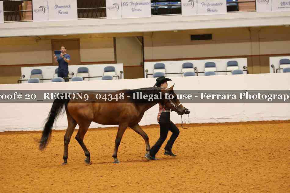 Proof 20_REGION9_04348