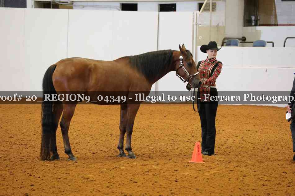 Proof 20_REGION9_04349