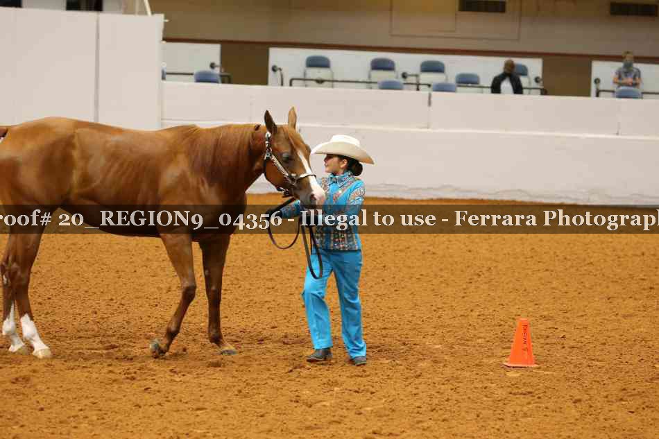Proof 20_REGION9_04356