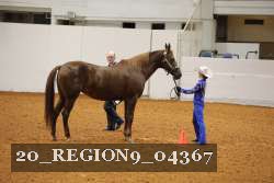 20_REGION9_04367 proof