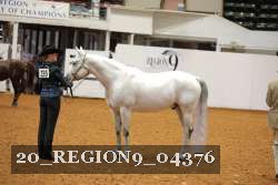 20_REGION9_04376 proof