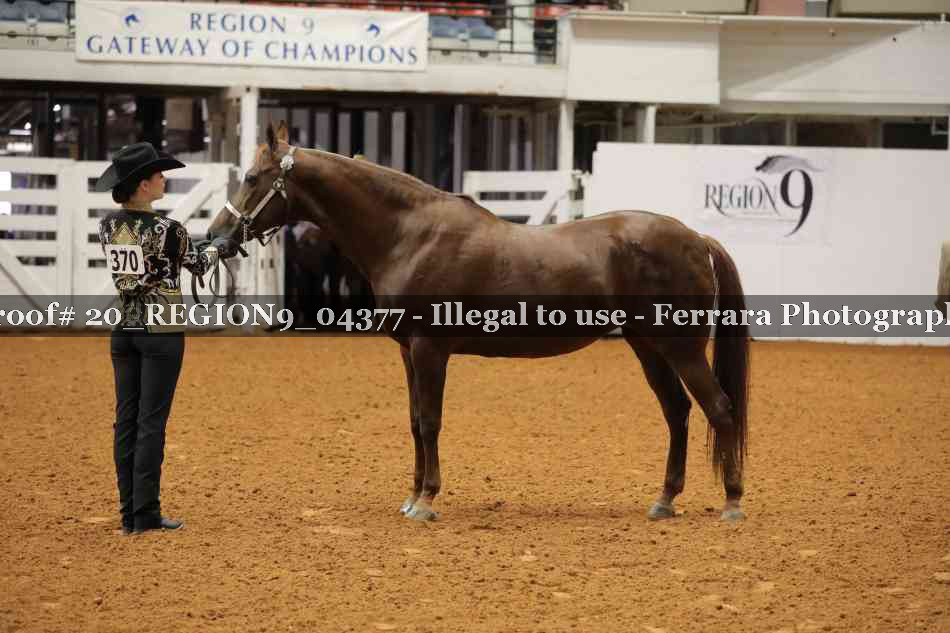 Proof 20_REGION9_04377