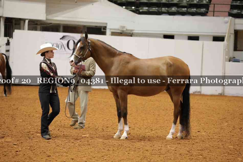 Proof 20_REGION9_04381