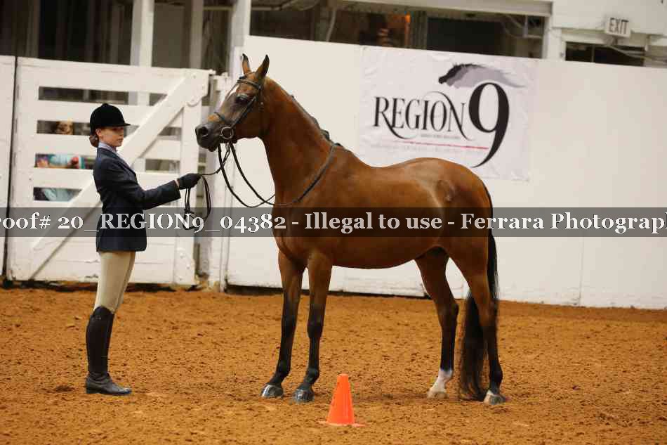 Proof 20_REGION9_04382