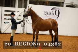 20_REGION9_04382 proof