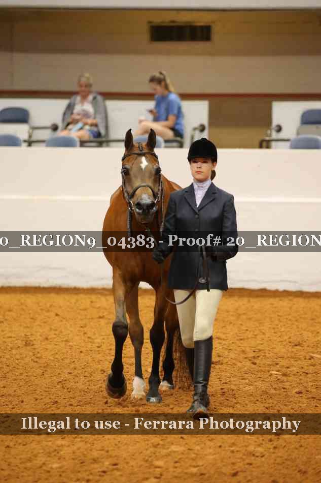 Proof 20_REGION9_04383