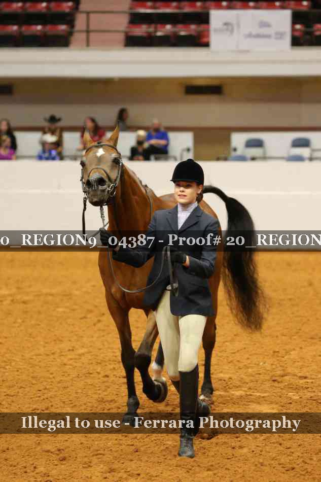Proof 20_REGION9_04387