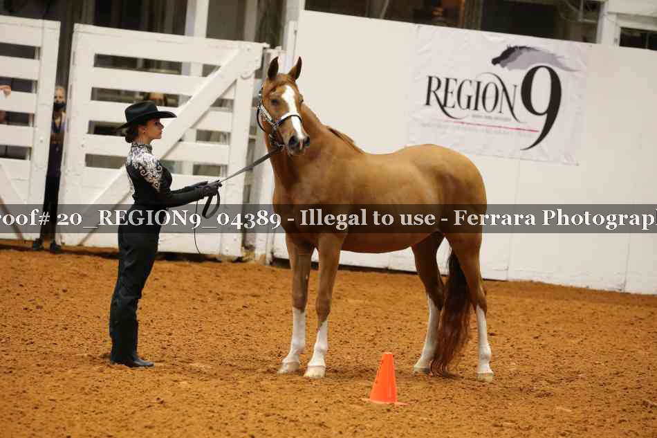 Proof 20_REGION9_04389