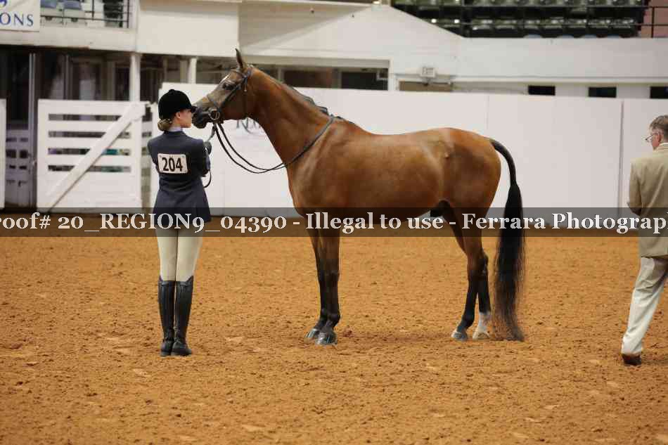 Proof 20_REGION9_04390