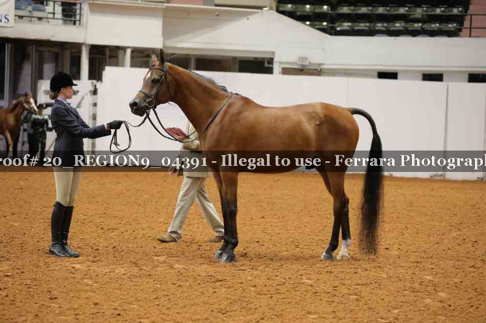 Proof 20_REGION9_04391