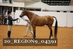 20_REGION9_04391 proof