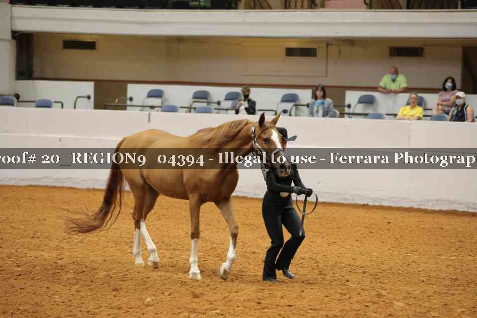 Proof 20_REGION9_04394