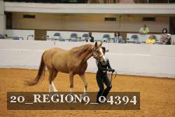 20_REGION9_04394 proof