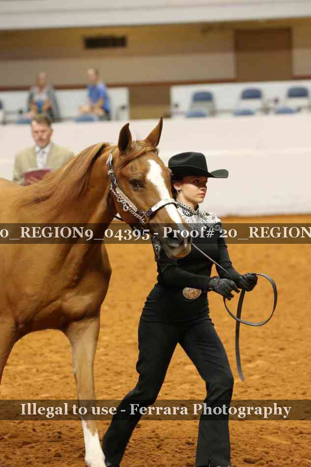 Proof 20_REGION9_04395