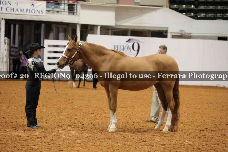 Proof 20_REGION9_04396