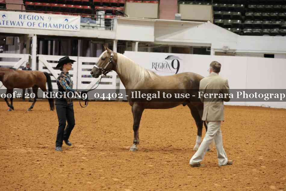 Proof 20_REGION9_04402