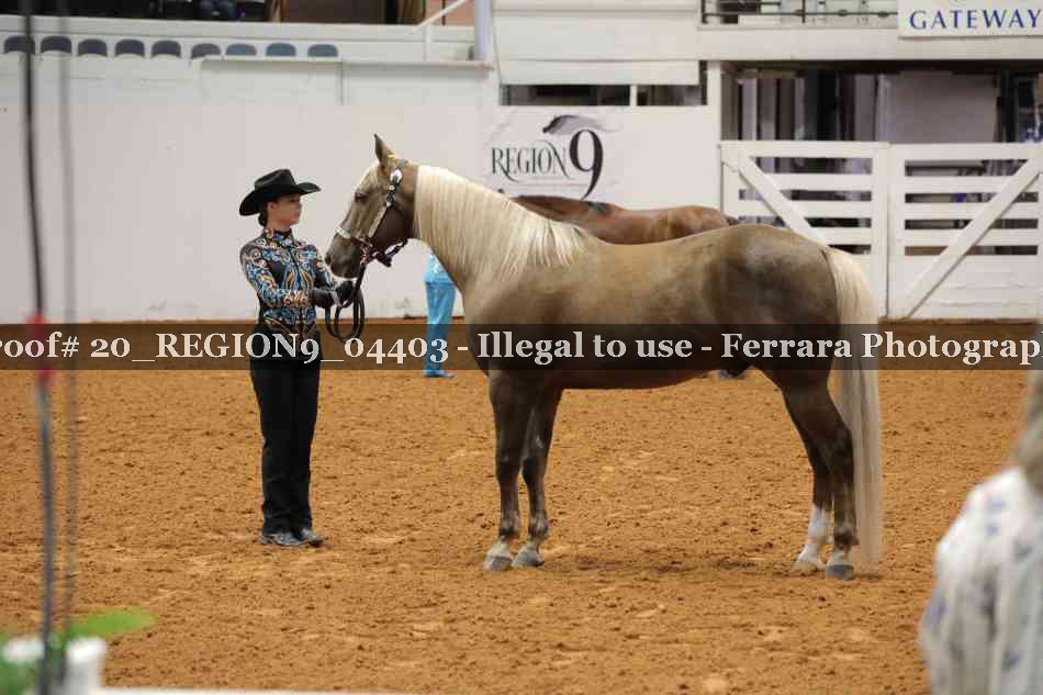 Proof 20_REGION9_04403