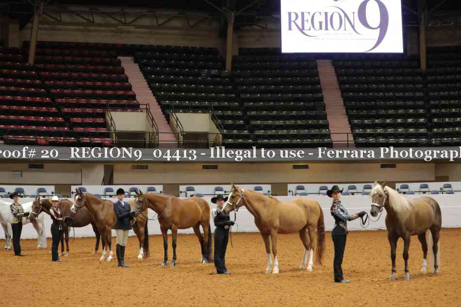 Proof 20_REGION9_04413