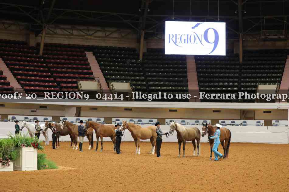 Proof 20_REGION9_04414