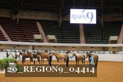 20_REGION9_04414 proof