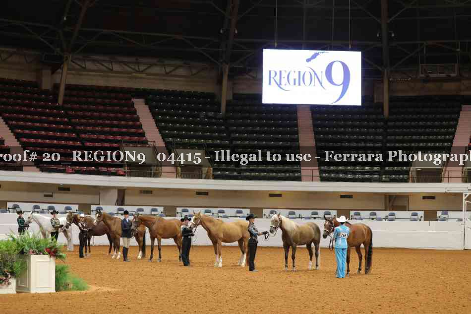 Proof 20_REGION9_04415