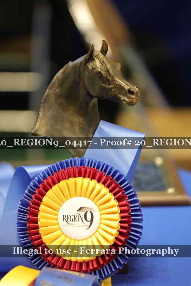 Proof 20_REGION9_04417