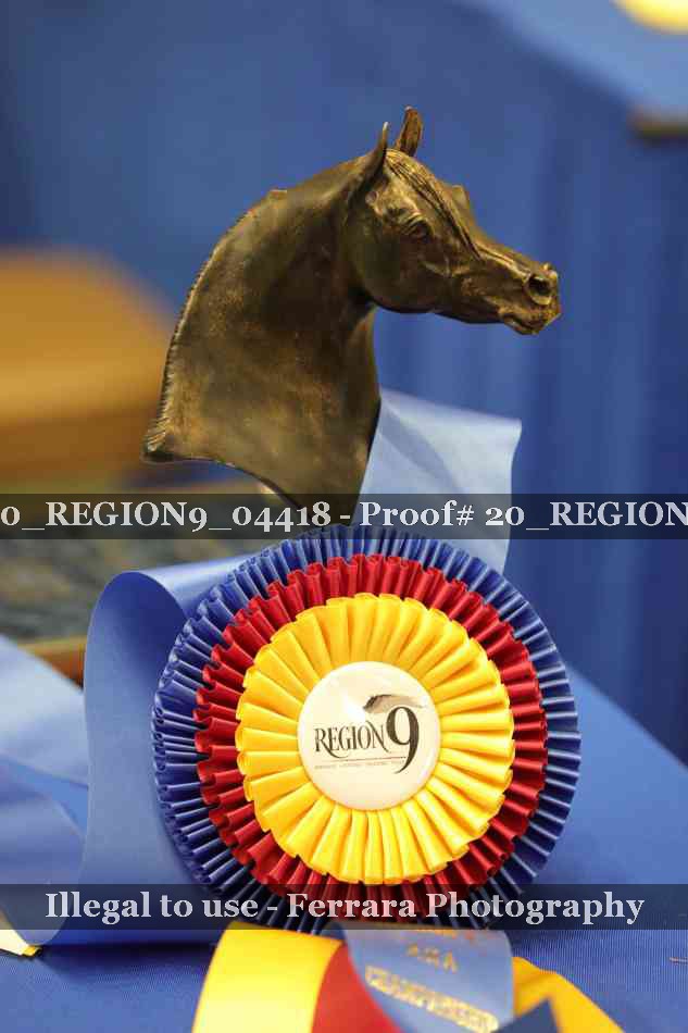 Proof 20_REGION9_04418
