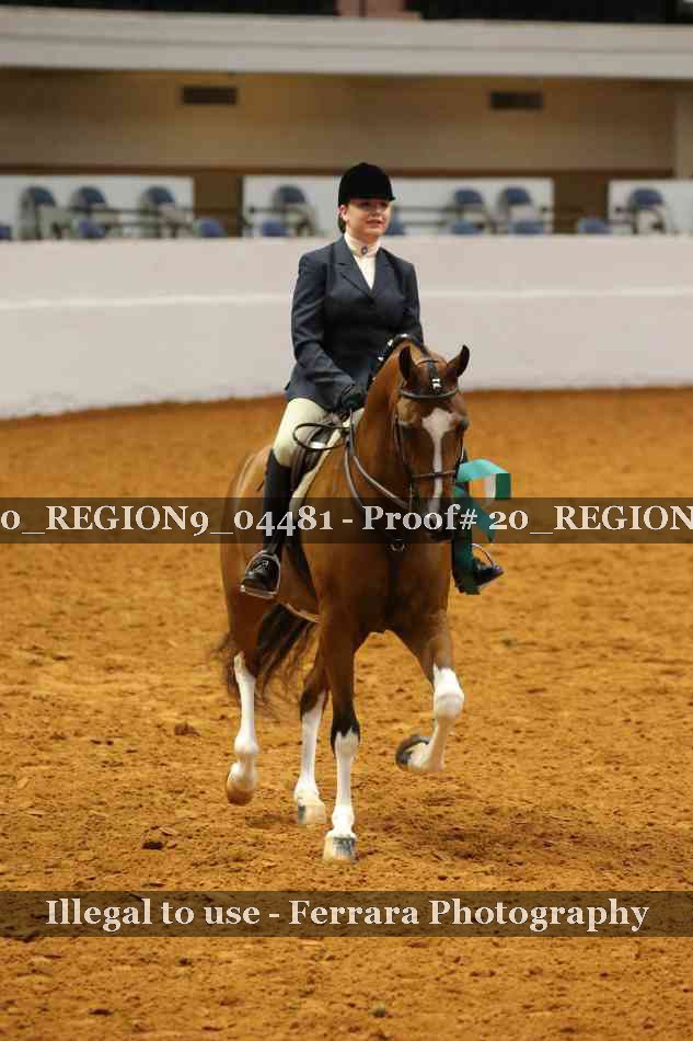 Proof 20_REGION9_04481