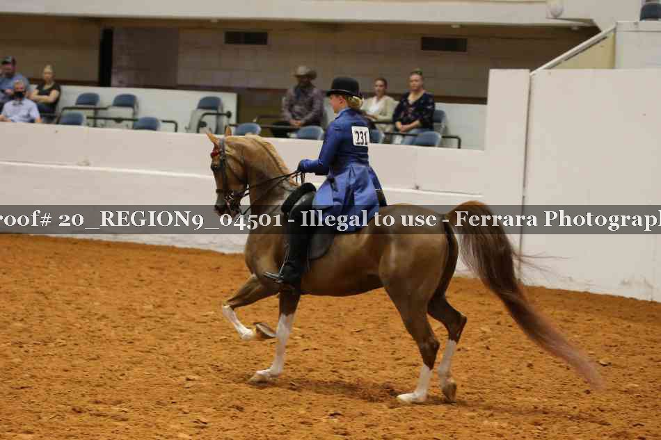 Proof 20_REGION9_04501