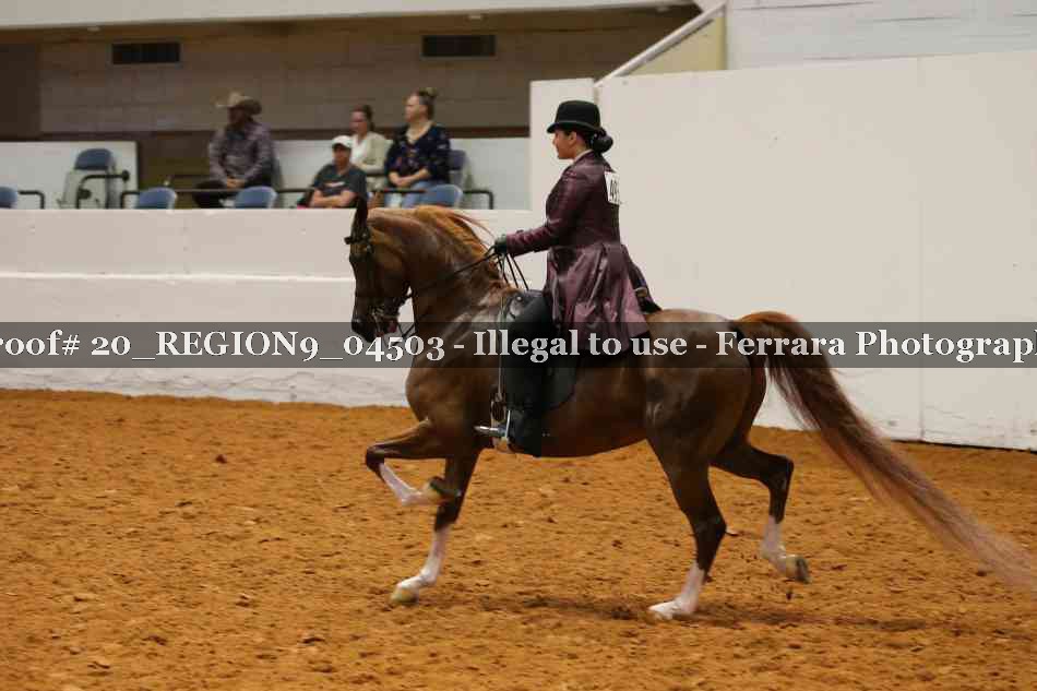 Proof 20_REGION9_04503