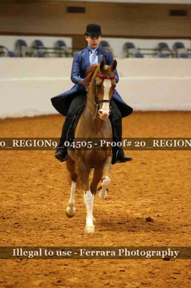 Proof 20_REGION9_04505