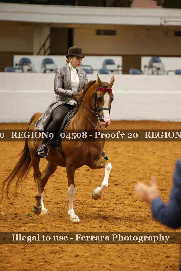 Proof 20_REGION9_04508