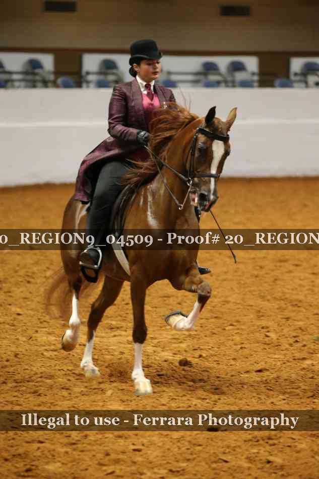 Proof 20_REGION9_04509