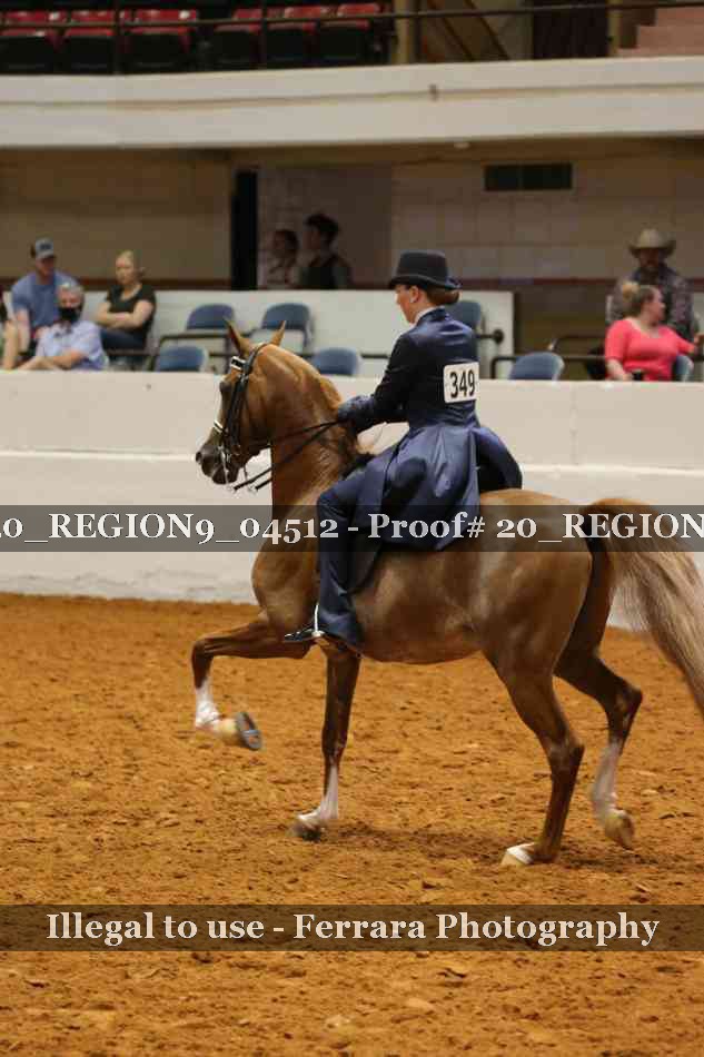 Proof 20_REGION9_04512