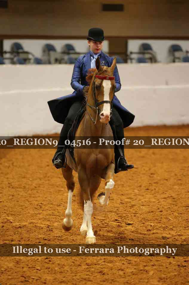 Proof 20_REGION9_04516