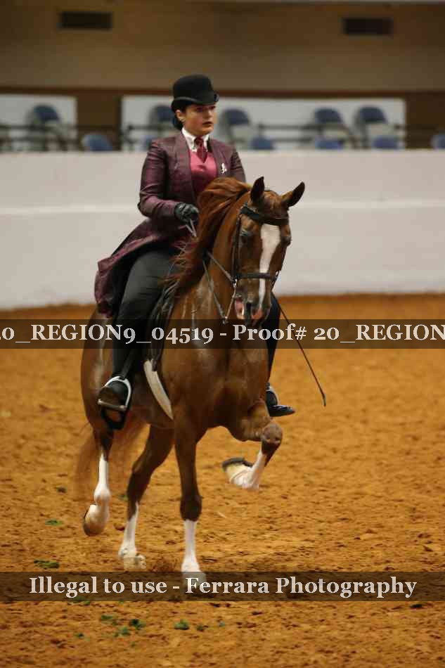 Proof 20_REGION9_04519