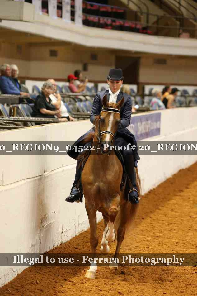 Proof 20_REGION9_04522