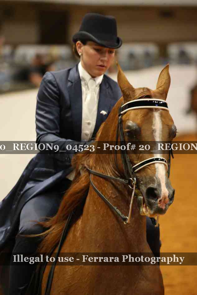 Proof 20_REGION9_04523
