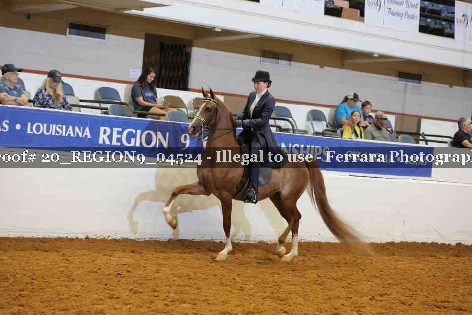 Proof 20_REGION9_04524