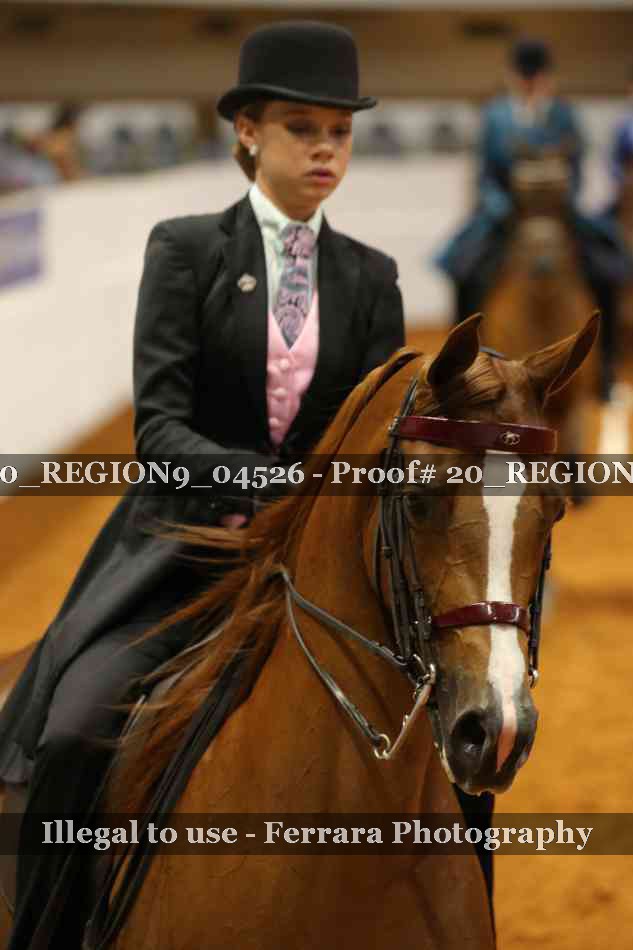 Proof 20_REGION9_04526