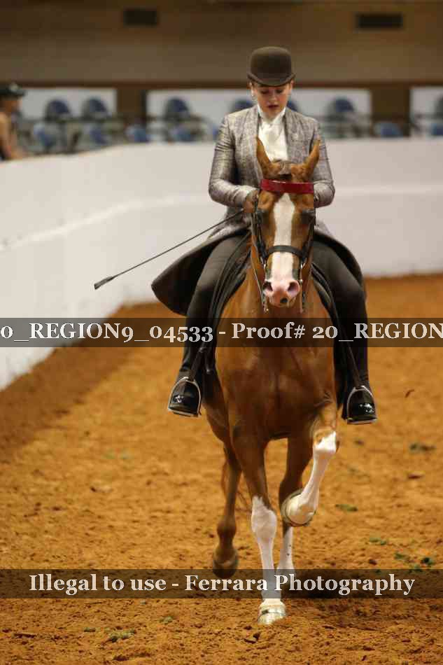 Proof 20_REGION9_04533